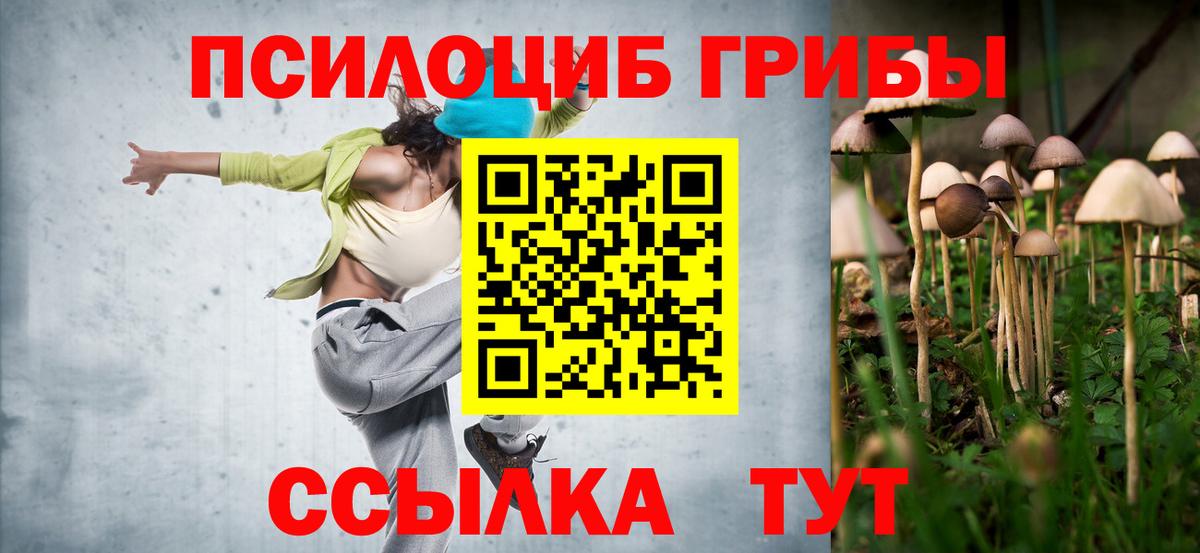 Галлюциногенные грибы мухоморы  Галлюциногенные грибы Psilocybe  Вязьма  наркошоп  Вход с VPN 
